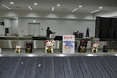 ZgA